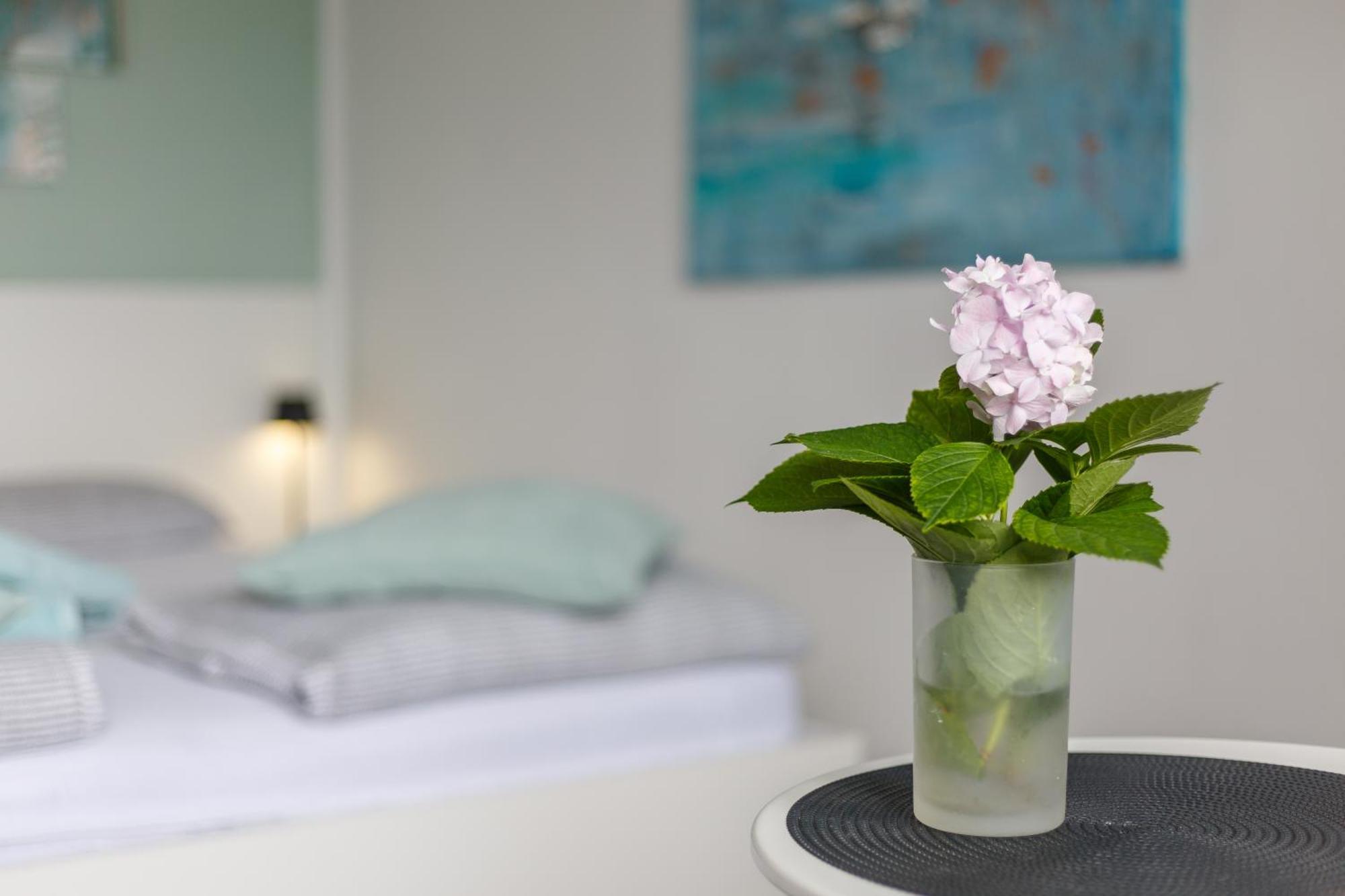 Ana Apartment ซริกเวนิซา ภายนอก รูปภาพ